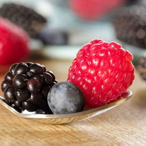 berry, raspberries, blackberries, blueberries, fruit, vitamins, mollberry, hollow berry, cat berry, ambas, besing, blueberry, blackberry, wildberry, wild berry, bickberry, gooseberry, cranberry, hayberry, healthy, cranberry, cranberry, cranberry, cranberry, cranberry