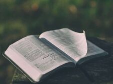 bible, open, book, pages, open bible, psalms, bible reading, faith, religion, prayer, bible verses, chapter, knowledge, literature, outdoors, text, verses, wisdom, bible, bible, bible, bible, bible, daily devotion