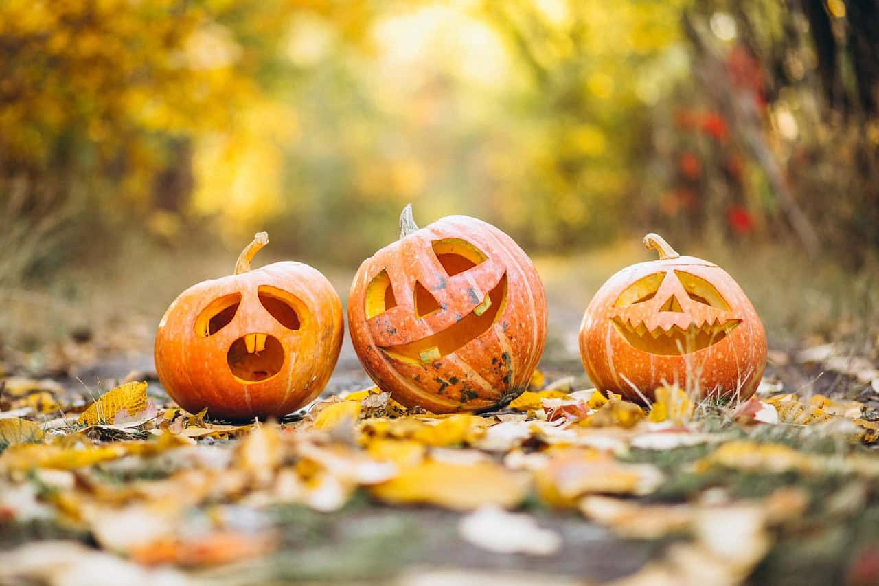 pumpkin, halloween, tradition, holiday, season, vegetables, nature, grass, pumpkin, halloween, halloween, halloween, halloween, halloween