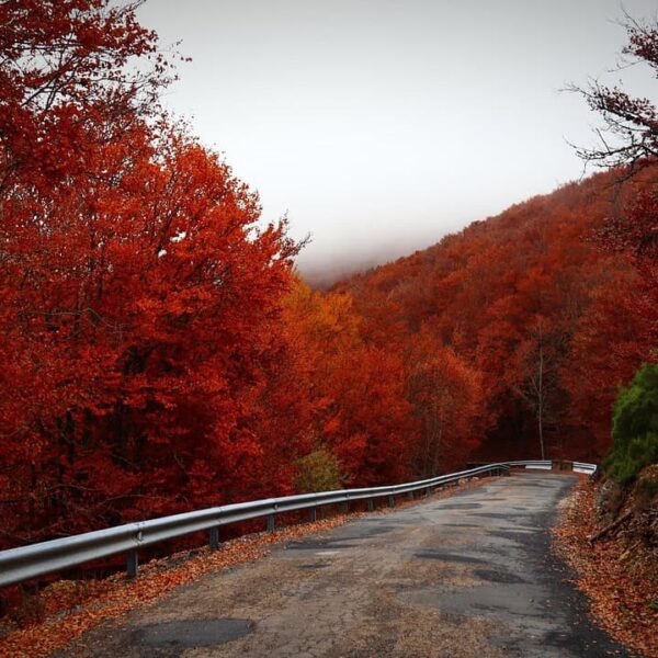 road, autumn, travel, landscape, nature, colors, fall, nature, nature, nature, nature, nature, solo travelers, fall travel