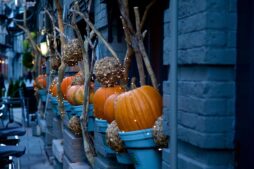 halloween decorating, pumpkin, fall, pumpkin, pumpkin, pumpkin, pumpkin, pumpkin, fall, DIY pumpkin garland, fall DIY,