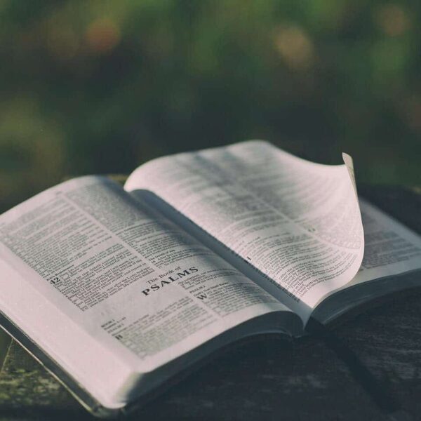 bible, open, book, pages, open bible, psalms, bible reading, faith, religion, prayer, bible verses, chapter, knowledge, literature, outdoors, text, verses, wisdom, bible, bible, bible, bible, bible, daily devotion