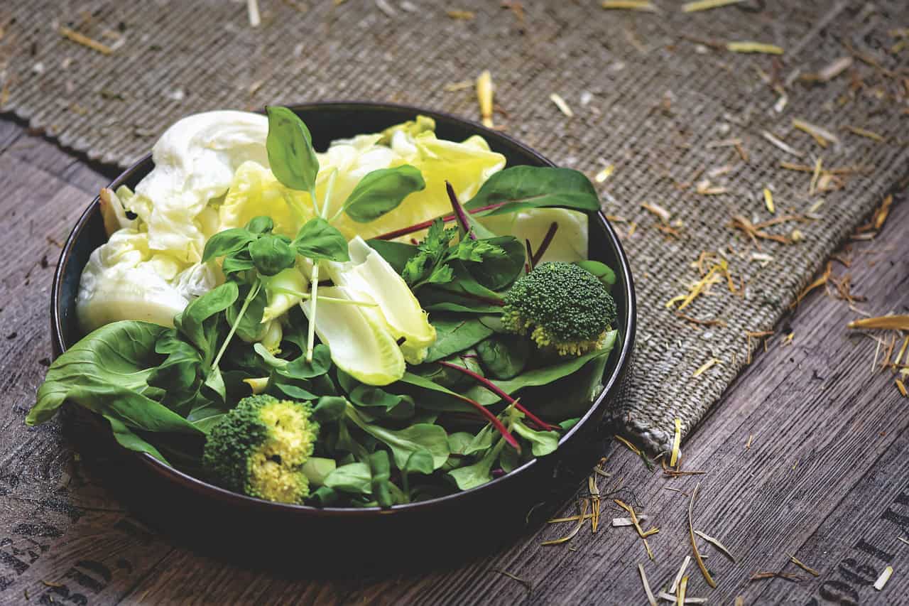 healthy eating, rabbit food, healthy, green fodder, salad, herbs, shell, feed bowl, feed, green stuff, food, rich in vitamins, vegetables, fresh, vitamins, rabbit food, rabbit food, rabbit food, rabbit food, rabbit food