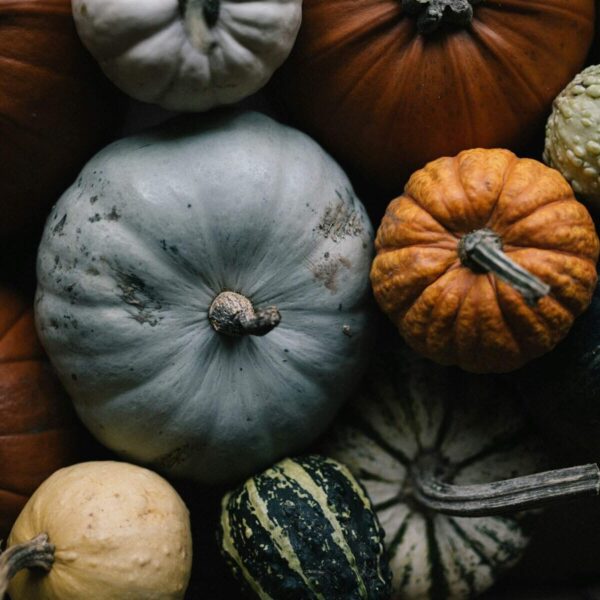 white and orange pumpkin on brown wooden table. pumpkin health benefits