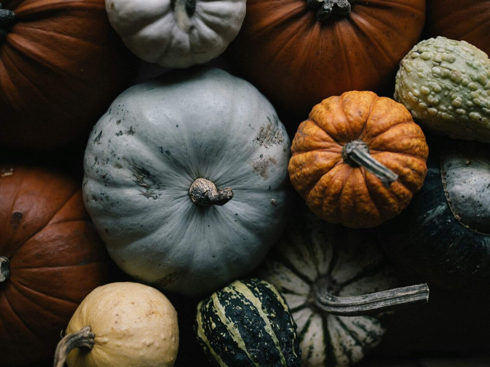 white and orange pumpkin on brown wooden table. pumpkin health benefits