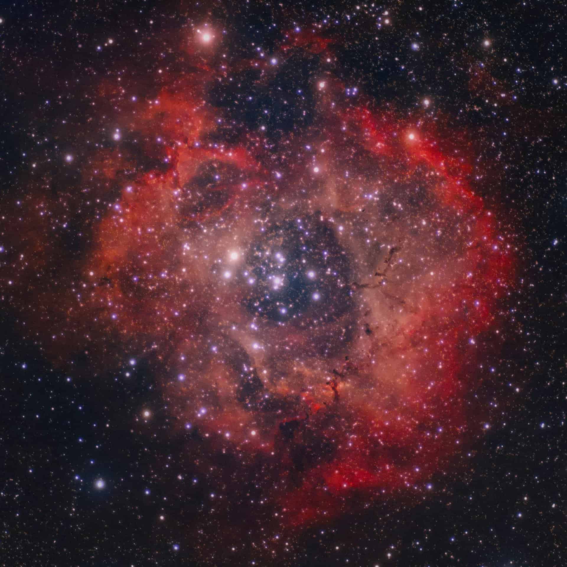 Stunning view of the Rosette Nebula, showcasing vibrant cosmic colors and star formations. Ophiuchus daily horoscope.