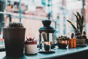 Stylish assortment of potted succulents and cacti with lantern, captured on a windowsill.