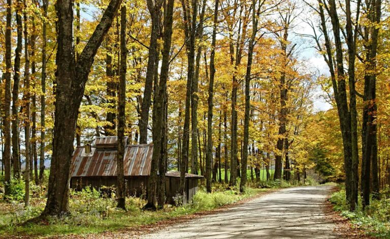 Scenic autumn view of a rustic shack along a rural road in Newark, Vermont.