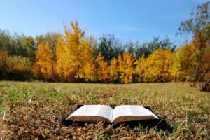 An open Bible on grass in a sunny autumn meadow surrounded by vibrant fall foliage daily devotion