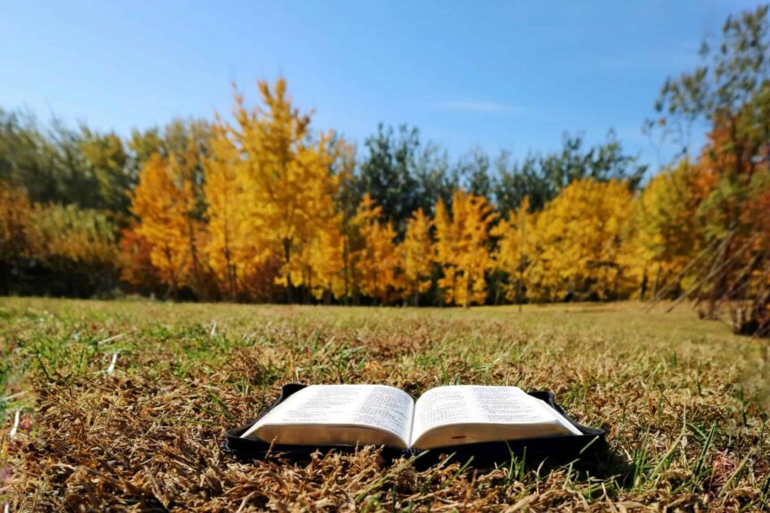 An open Bible on grass in a sunny autumn meadow surrounded by vibrant fall foliage.