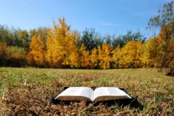 An open Bible on grass in a sunny autumn meadow surrounded by vibrant fall foliage, daily devotion