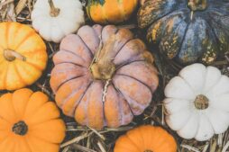 A vibrant assortment of pumpkins in different colors and shapes displayed on straw. Perfect for autumn themes.
