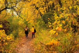 This is a photograph of two hikers in an autumn landscape. For fall adventures, travel apps can be helpful.