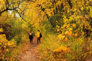 This is a photograph of two hikers in an autumn landscape. For fall adventures, travel apps can be helpful.