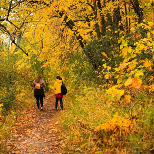 This is a photograph of two hikers in an autumn landscape. For fall adventures, travel apps can be helpful.