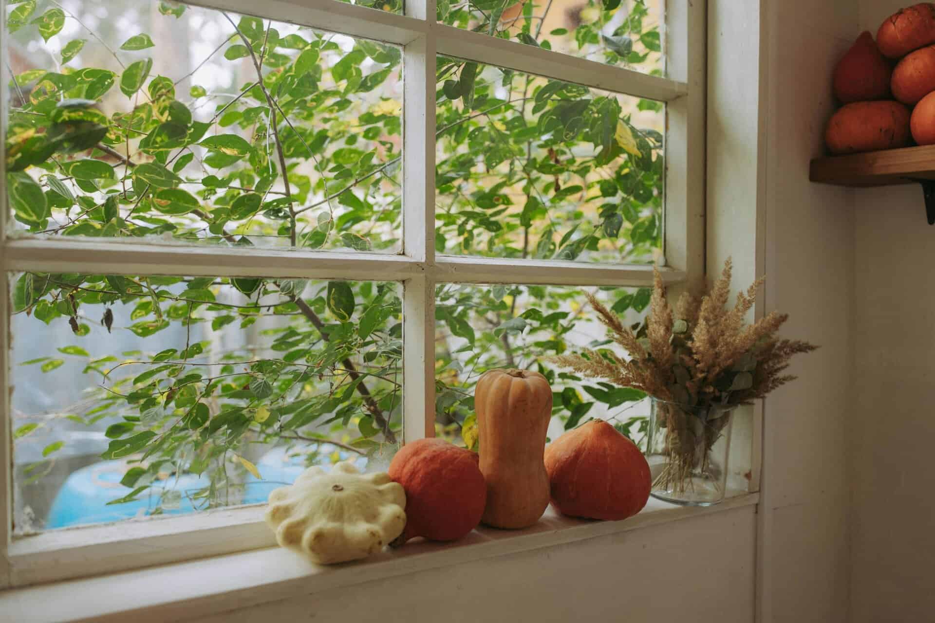 Cozy autumn scene with pumpkins and dried grass on a windowsill, perfect for fall decor inspiration. Home value. 
