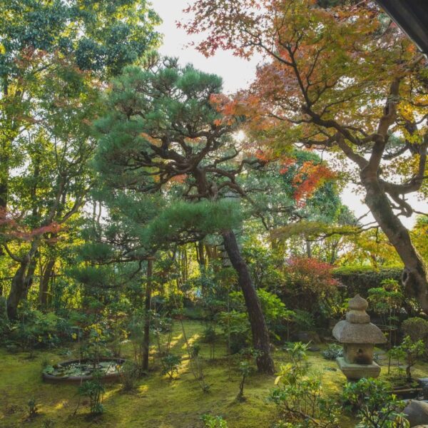 This is photograph is of a Japanese garden in fall. The setting of the garden is Kyoto. You can travel to Japan for fall festivals.