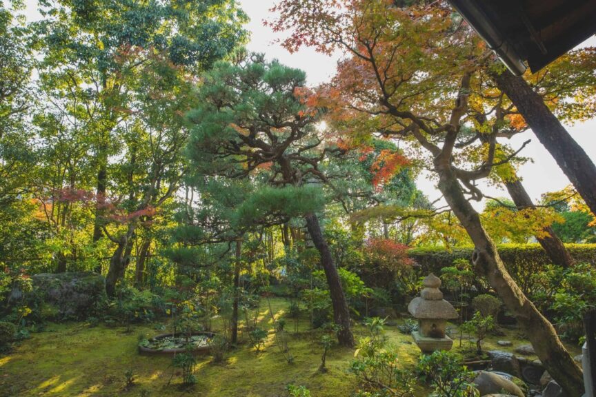 This is photograph is of a Japanese garden in fall. The setting of the garden is Kyoto. You can travel to Japan for fall festivals.