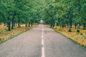 Peaceful road through vibrant autumn forest in Ilia, Greece with golden leaves. Lincoln Continental