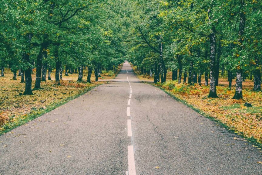 Peaceful road through vibrant autumn forest in Ilia, Greece with golden leaves. Lincoln Continental