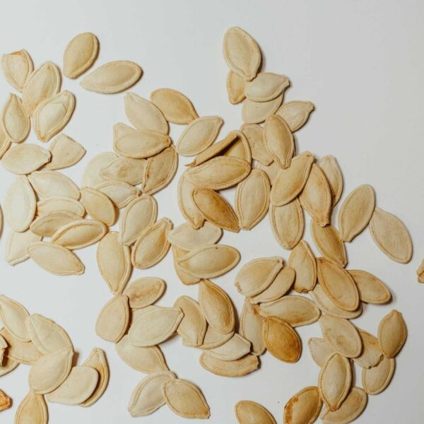 This is a photograph of pumpkin seeds. A pumpkin seed addition can be great in a fall recipe.