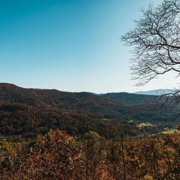 Captivating panoramic view of the Blue Ridge Mountains in Asheville during autumn with vibrant foliage.
