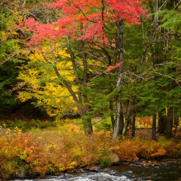 Fall Getaway in New England.