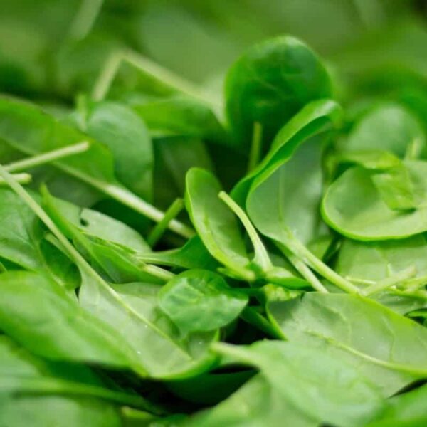 Hello Fresh meals using spinach may be contaminated with listeria.