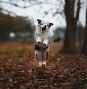 Nature getaways for after Thanksgiving.