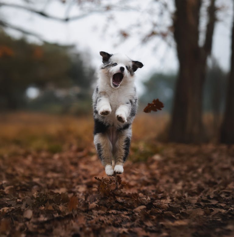 Nature getaways for after Thanksgiving.