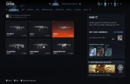 Call of Duty Black Ops Rifle Progression