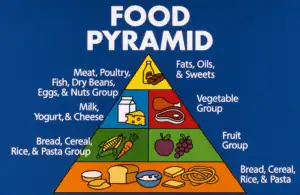 The nostalgic Food Pyramid from the 90's, did we love it?
