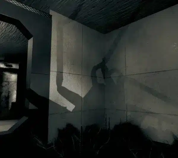 The Huntsman, Creature Feature, massive spiders, hunting, Atherton Labs, OnTheHouse Studios, Ten Imaging, spider shadow ready to attack