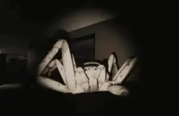 Huntsman, massive spider, survival Horror, Creature Feature series, Episode One, monster up close, death strike