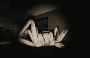 Huntsman, massive spider, survival Horror, Creature Feature series, Episode One, monster up close, death strike