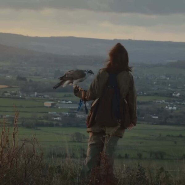 H Is For Hawk - Official Trailer