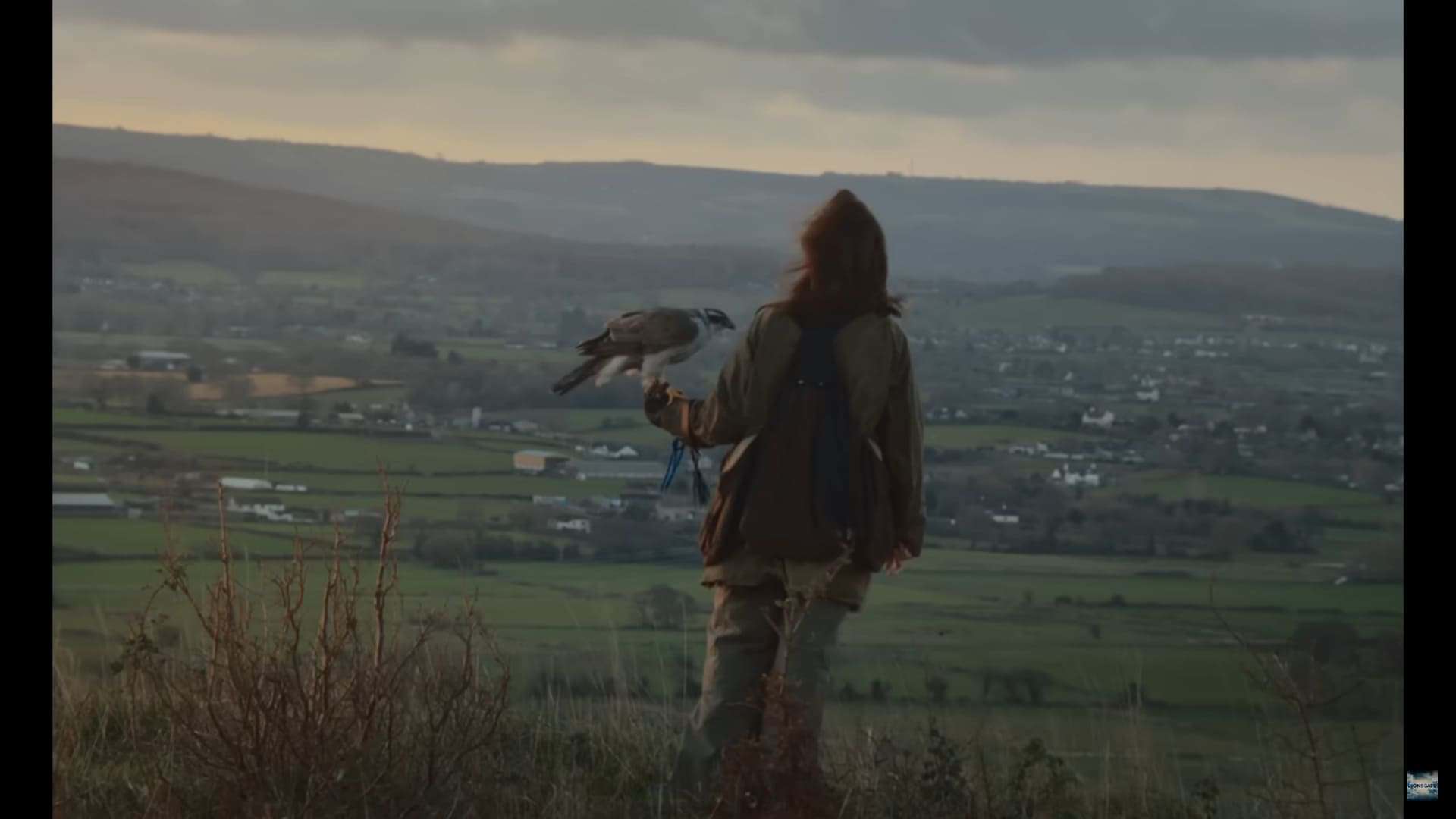 H Is For Hawk - Official Trailer