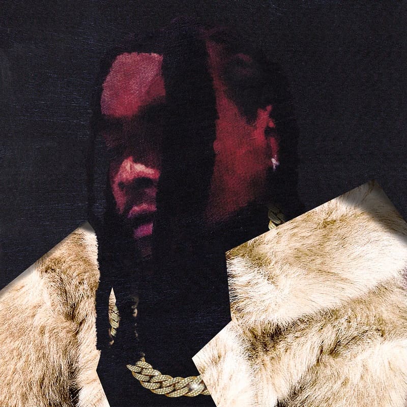 Album cover for Wale's new album, Everything Is a Lot.