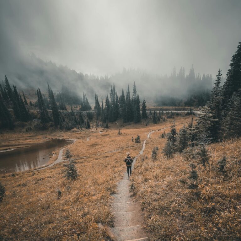 Respecting yourself and family boundaries this Thanksgiving.