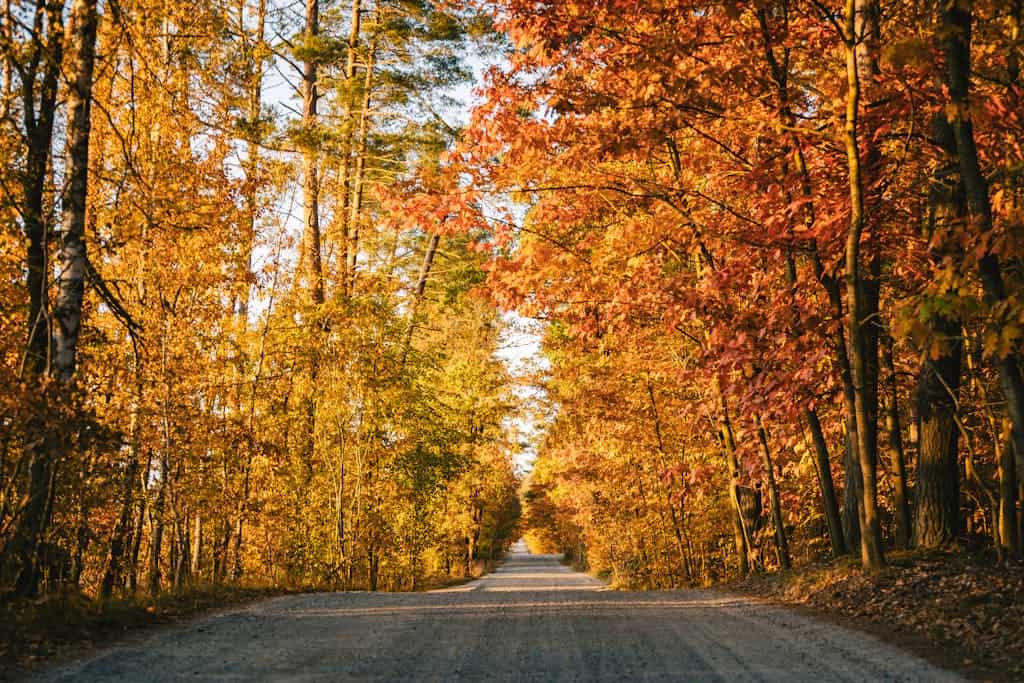 spiritual guidance, new chapters