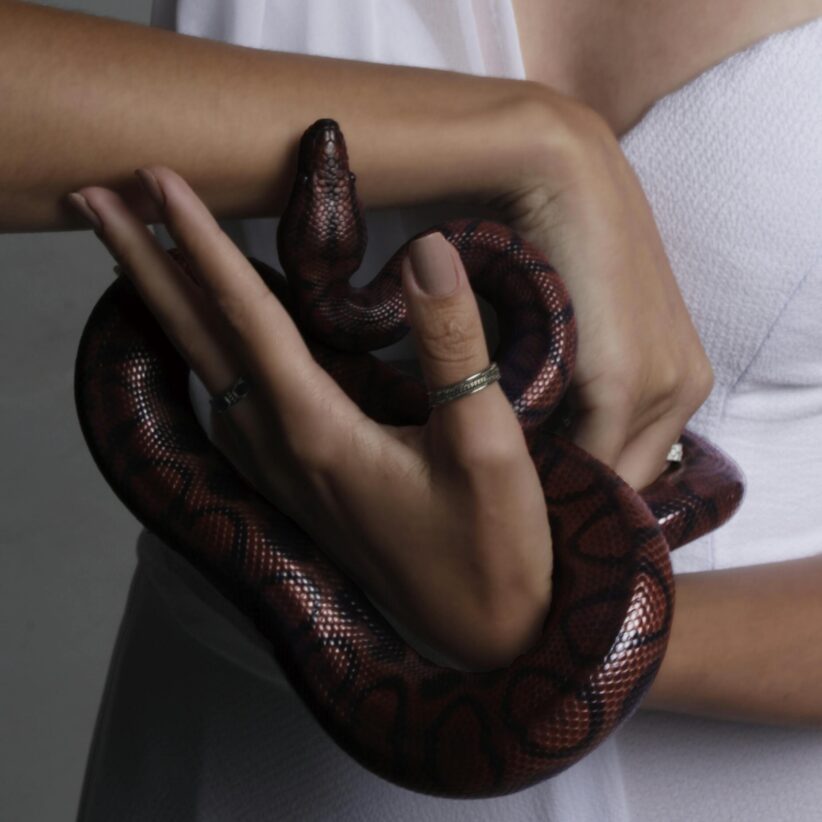 Ophiuchus quietly reflects on memories.