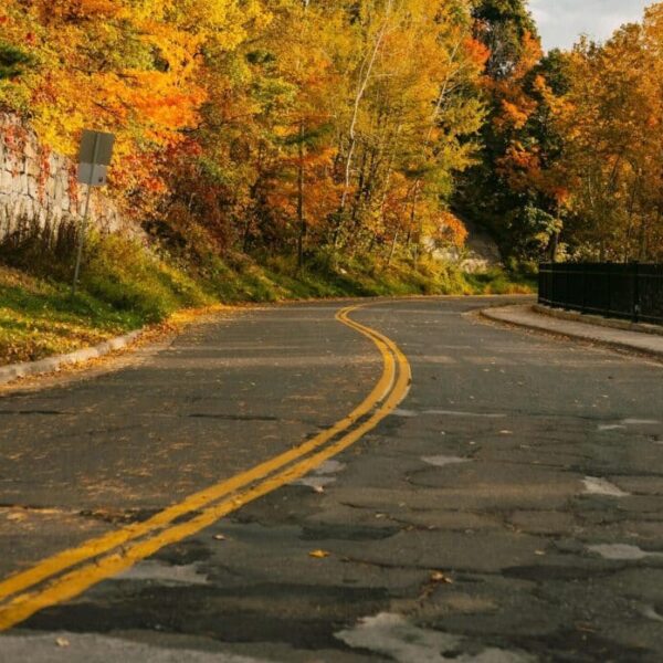 A serene road winding through vibrant autumn foliage, perfect for seasonal themed projects. thanksgiving stress free travel