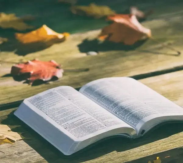 bible, religion, daily devotion