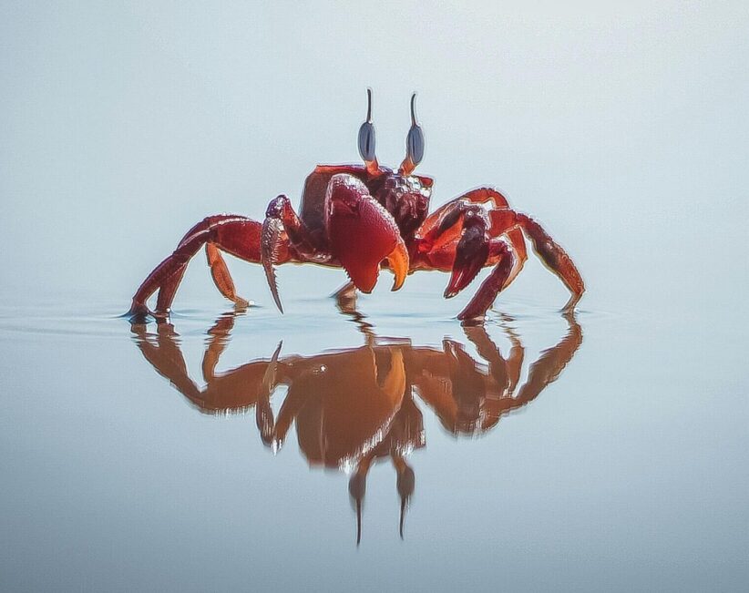 Cancer, this is a time of reflection.