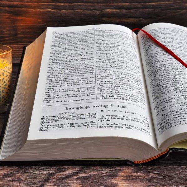 bible, scriptures, reading, bible reading, the word, god, word of god, bible study, christianity, holy, faith, book, religion, prayer, christian, spiritual, open bible, bible, bible study, bible study, bible study, open bible, open bible, open bible, open bible, open bible, daily devotional
