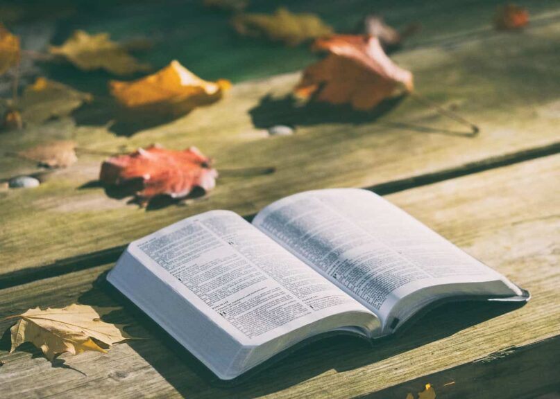 bible, book, pages, open, reading, open bible, bible reading, bible study, chapters, psalms, religion, faith, bible, bible, bible, bible, bible, book, daily devotion