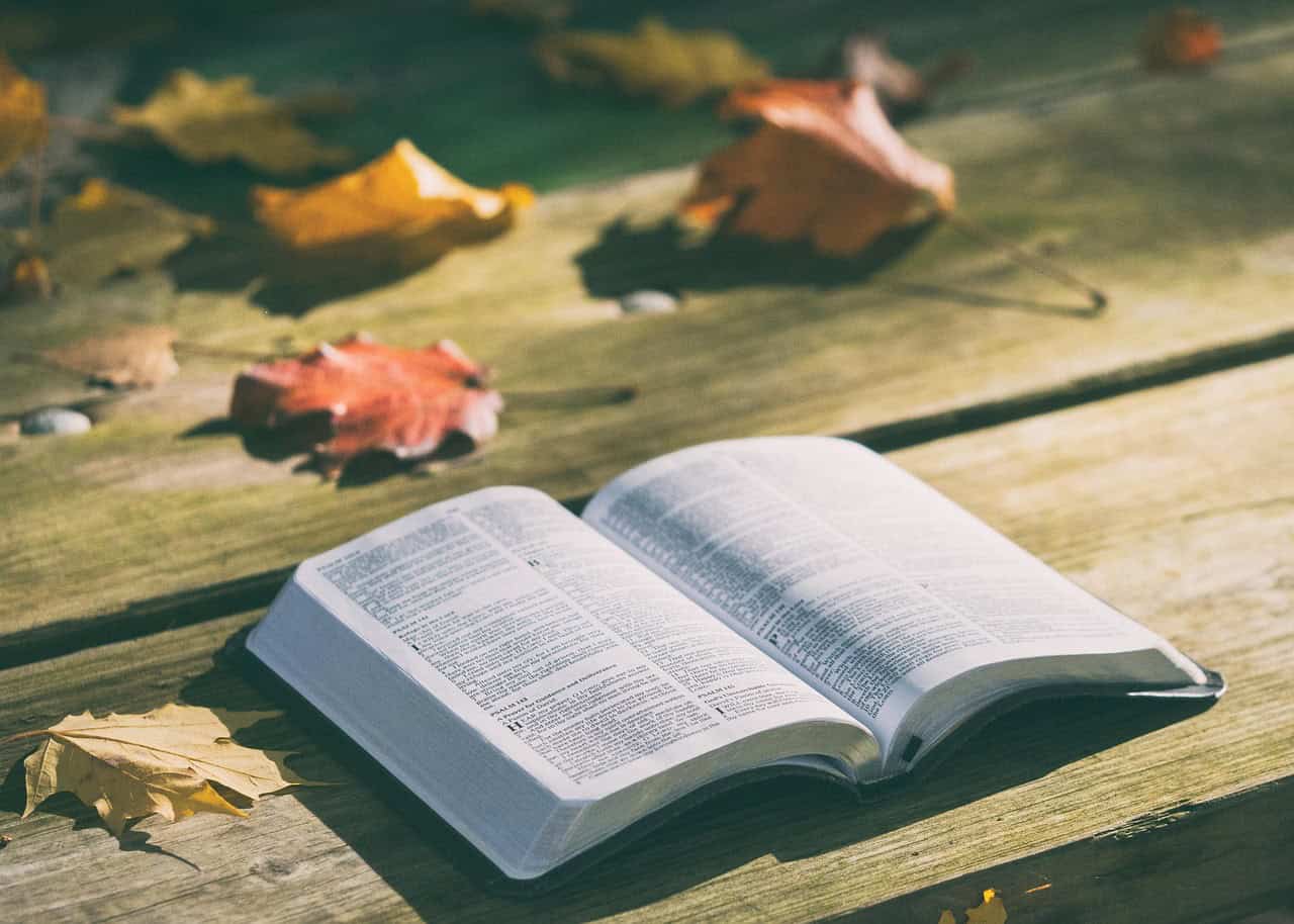 bible, book, pages, open, reading, open bible, bible reading, bible study, chapters, psalms, religion, faith, bible, bible, bible, bible, bible, book, daily devotion