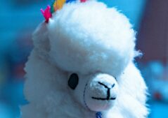 Toy Recall
