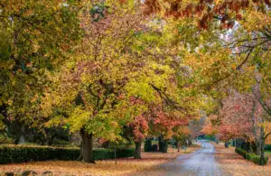 spiritual guidance, new chapter, fall