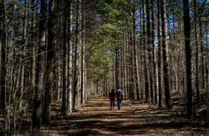 two people walking on a hiking trail. Hiking trails that might be open in November